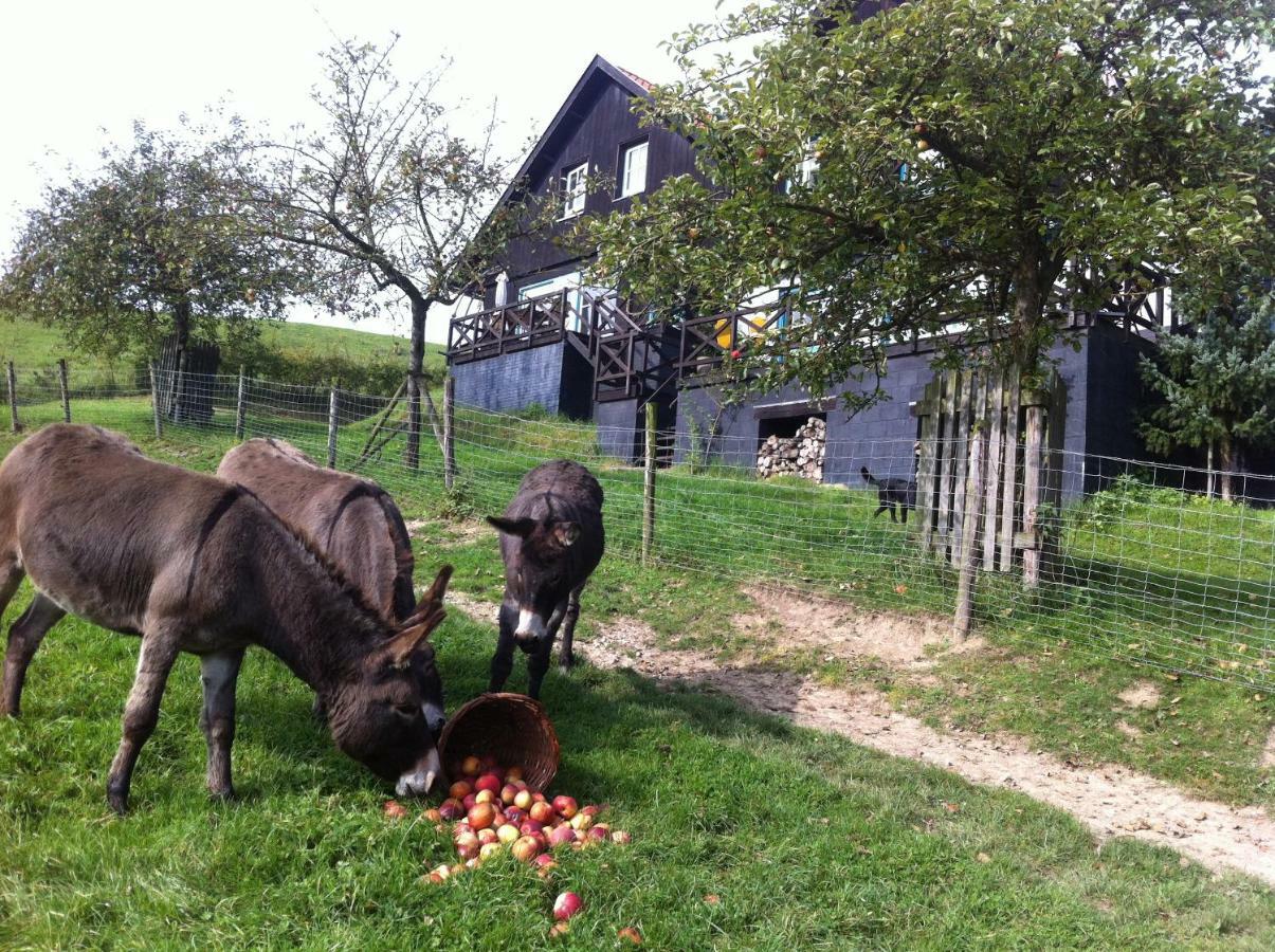 Hoeve Schoonzicht Wijlre Exteriör bild